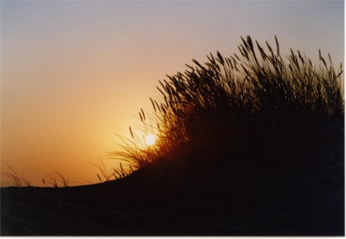 Sonnenuntergang 2004