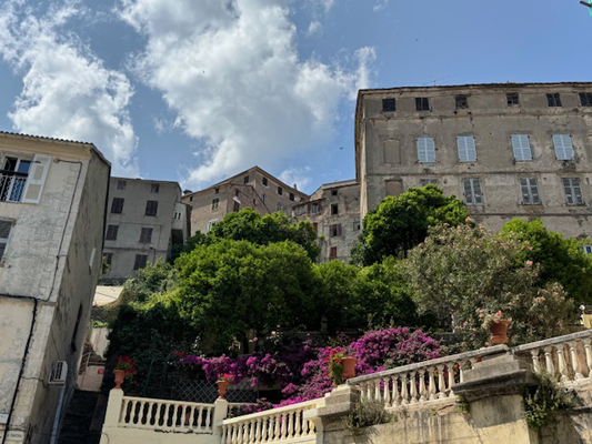 Cervione