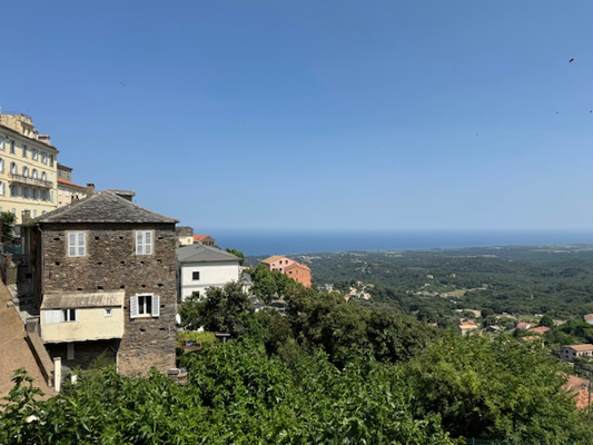 Ausblick zum Abschied