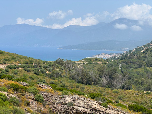 Rckblick nach St-Florent