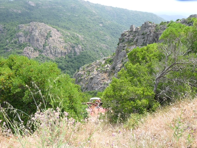 Am Wegesrand