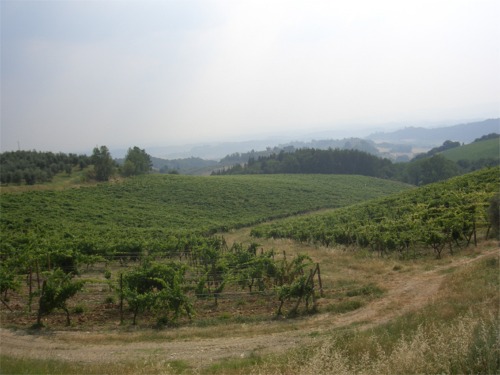 Castellina in Chianti